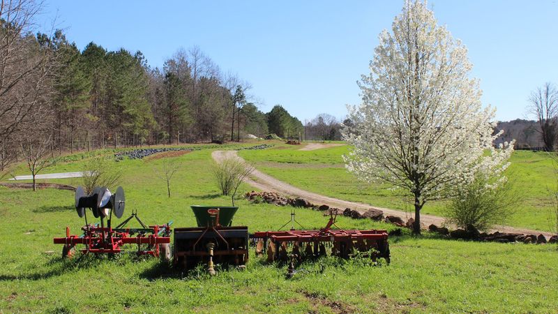 Serenbe, Georgia: Country Paths Near Atlanta