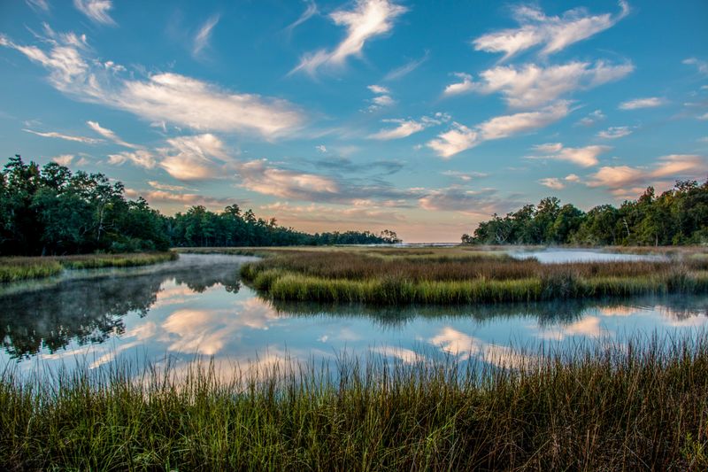 Davis Bayou Area, Mississippi: Marsh Life at a Slower Pace