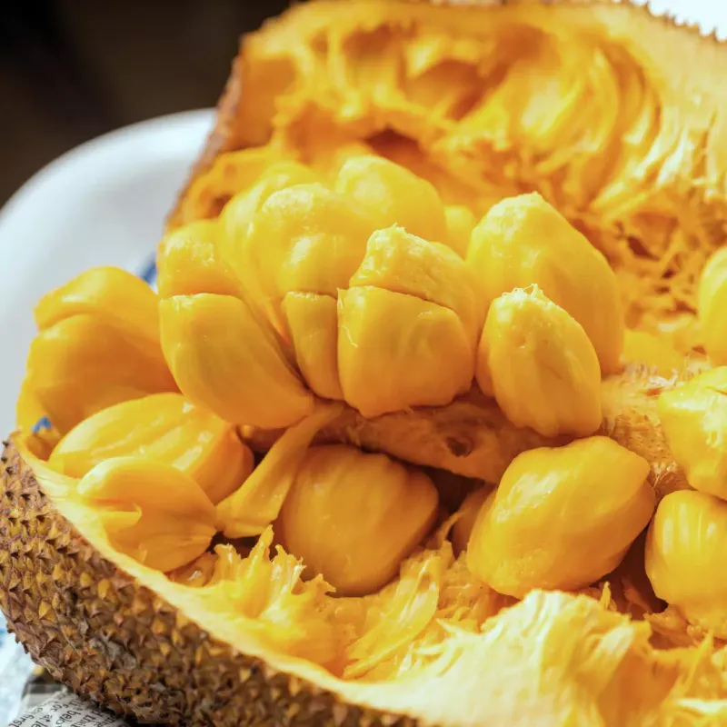 Jackfruit's Fruity Perfume