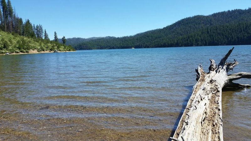Butt Lake: A Low Key Neighbor to Almanor