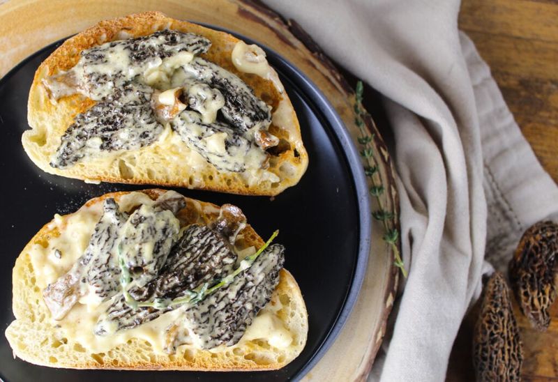 Morels: Spring's Treasure Hunt