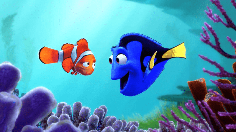 Dory: The Fish Who Kept Swimming