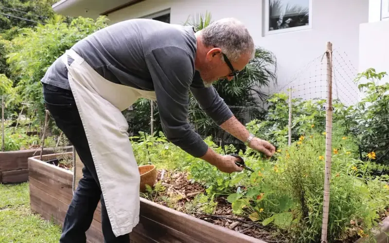 Farm-to-Table Restaurants