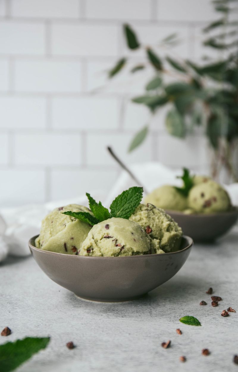Homemade Mint Chocolate Chip Ice Cream