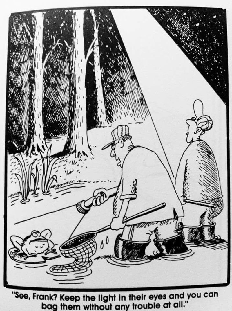 Frog Hunting
