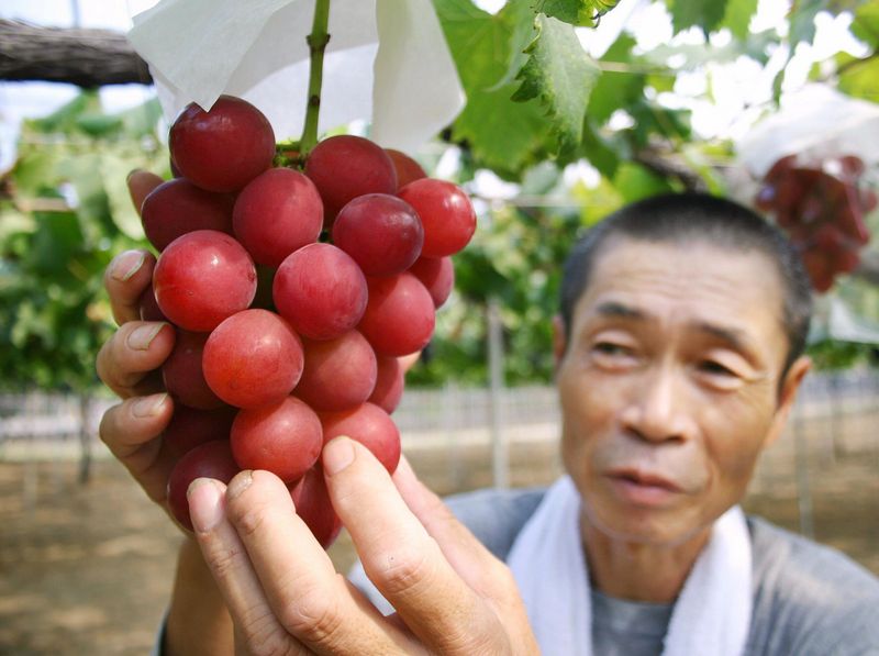 Ruby Roman Grapes