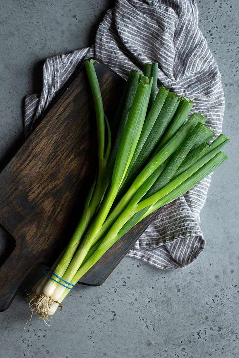 Scallions, Green Onions, Spring Onions