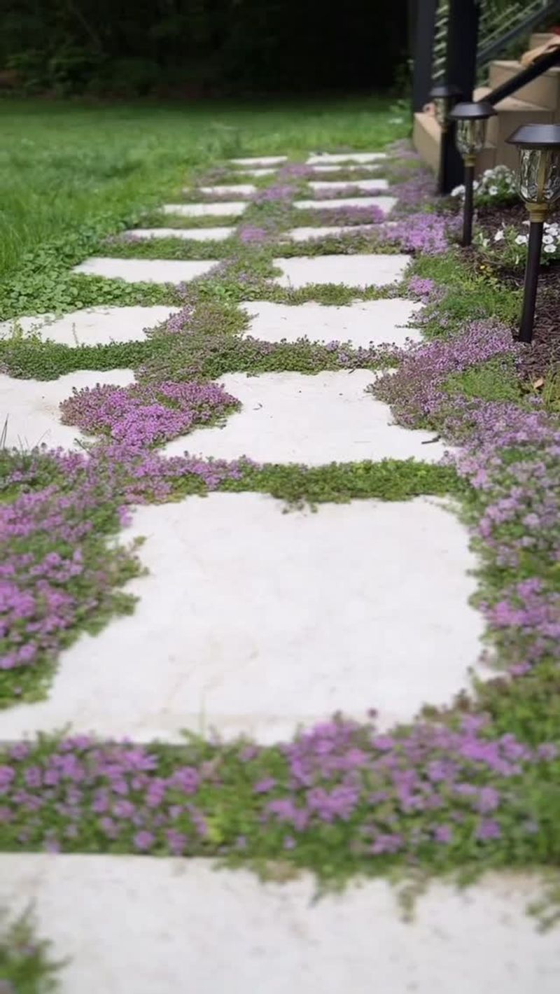 Plant a Fragrant Walkway