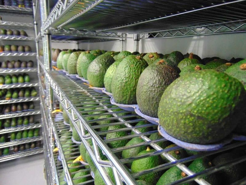 Coatings That Keep Produce Fresh