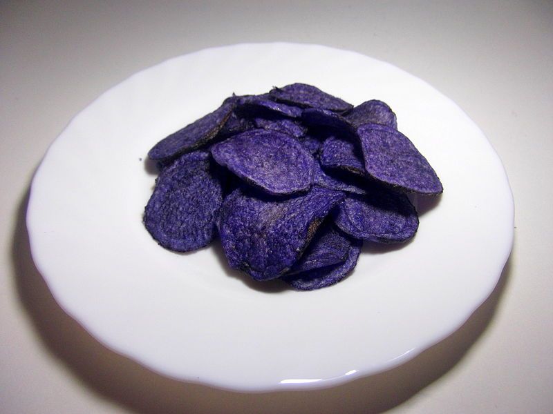 Adirondack Blue Chips