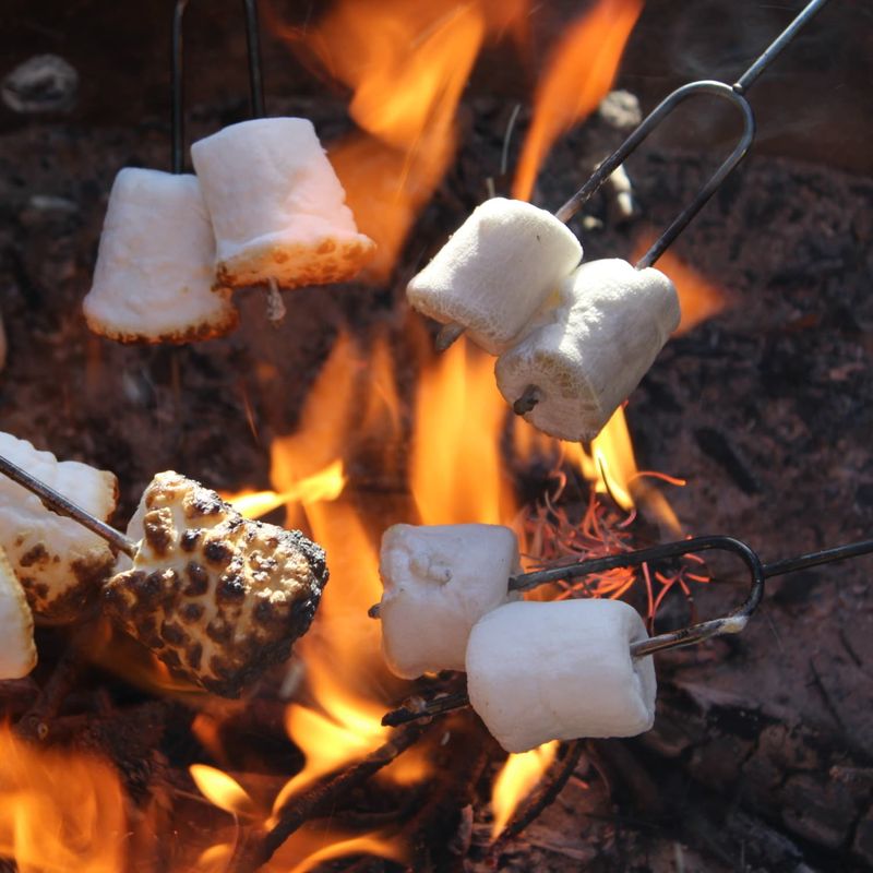 Toasted Marshmallows