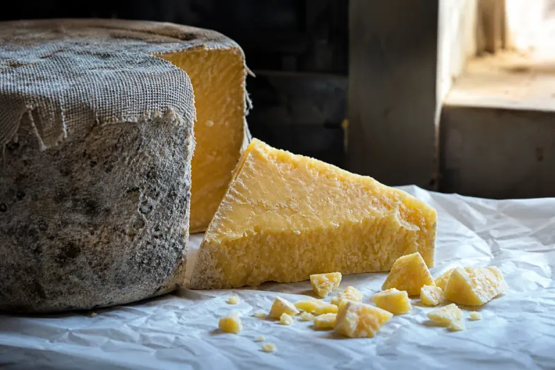 Cheddar That Grew Up Slowly