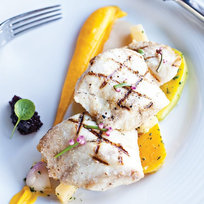 Cobia