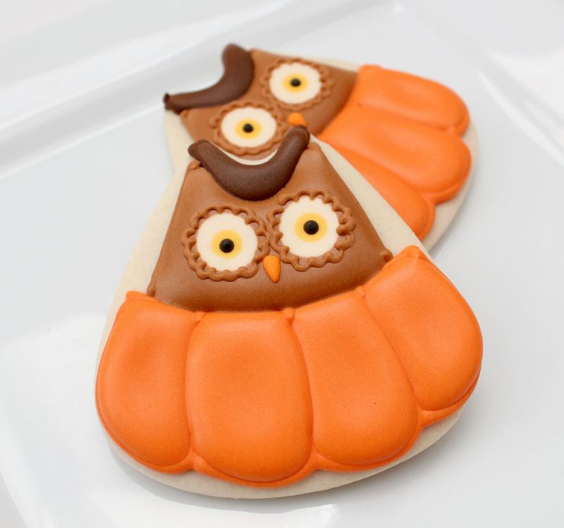 Pumpkin Spice Owl Biscuits