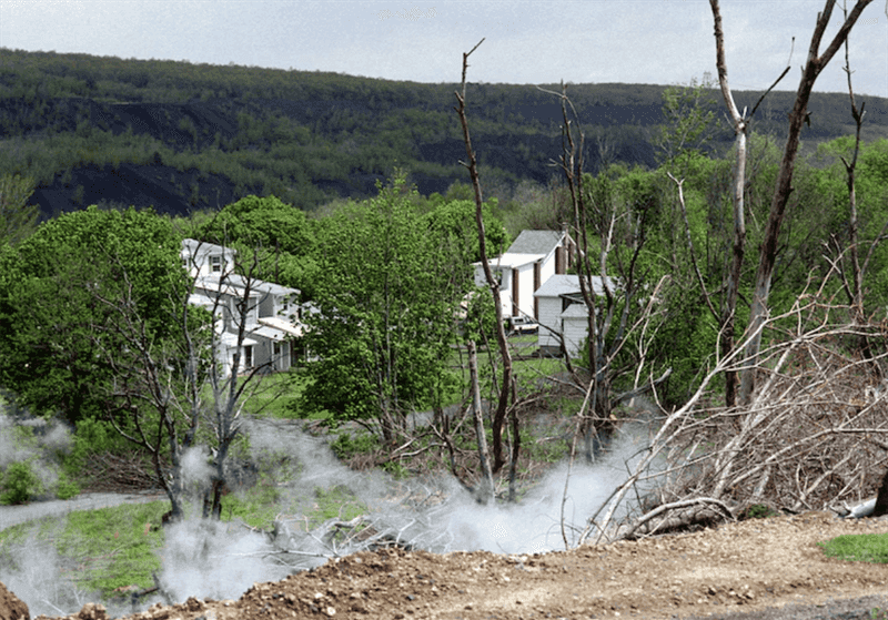 Brushing Off Every Warning