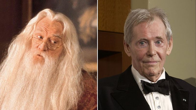 Peter O'Toole: A Reported Dumbledore Possibility