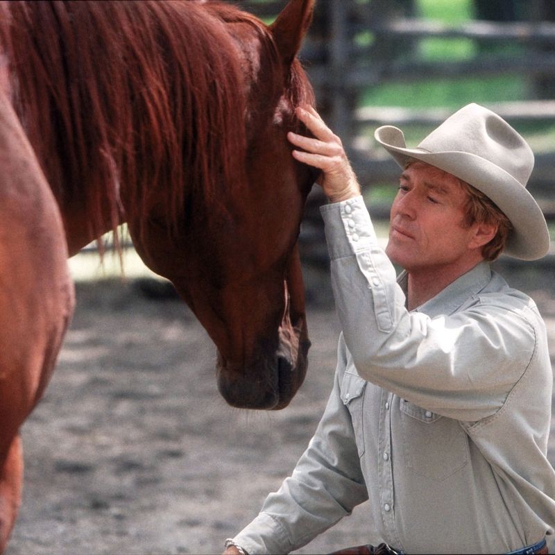 The Horse Whisperer (1998): Tom Booker Builds Trust