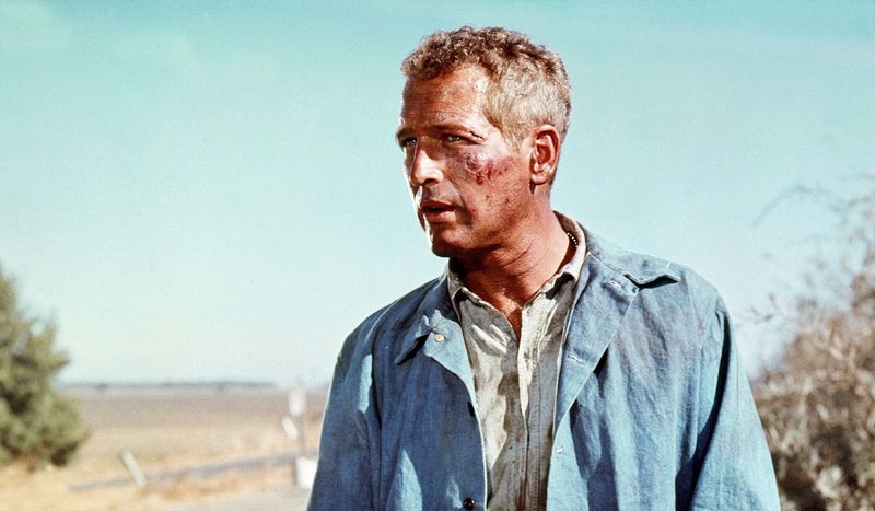 Cool Hand Luke (1967): Paul Newman Refuses to Bend