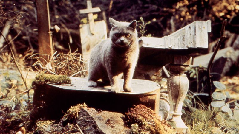 Pet Sematary (1989)