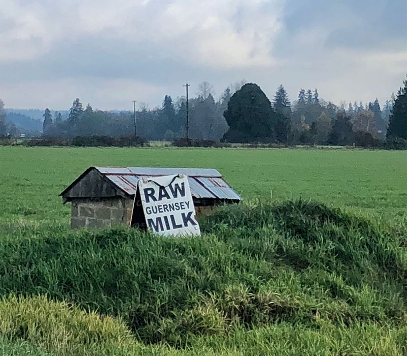 Raw Milk Rules Across the United States