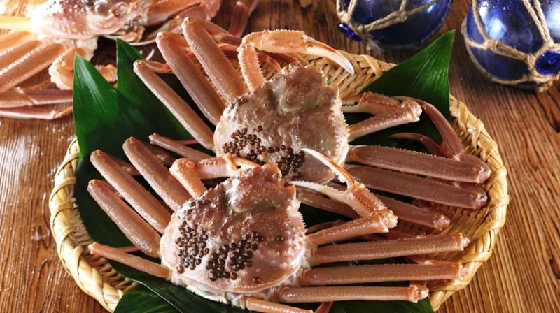 Matsuba Crab