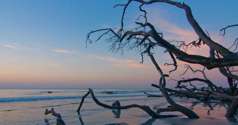Hunting Island State Park: A Wilder Coastal Adventure