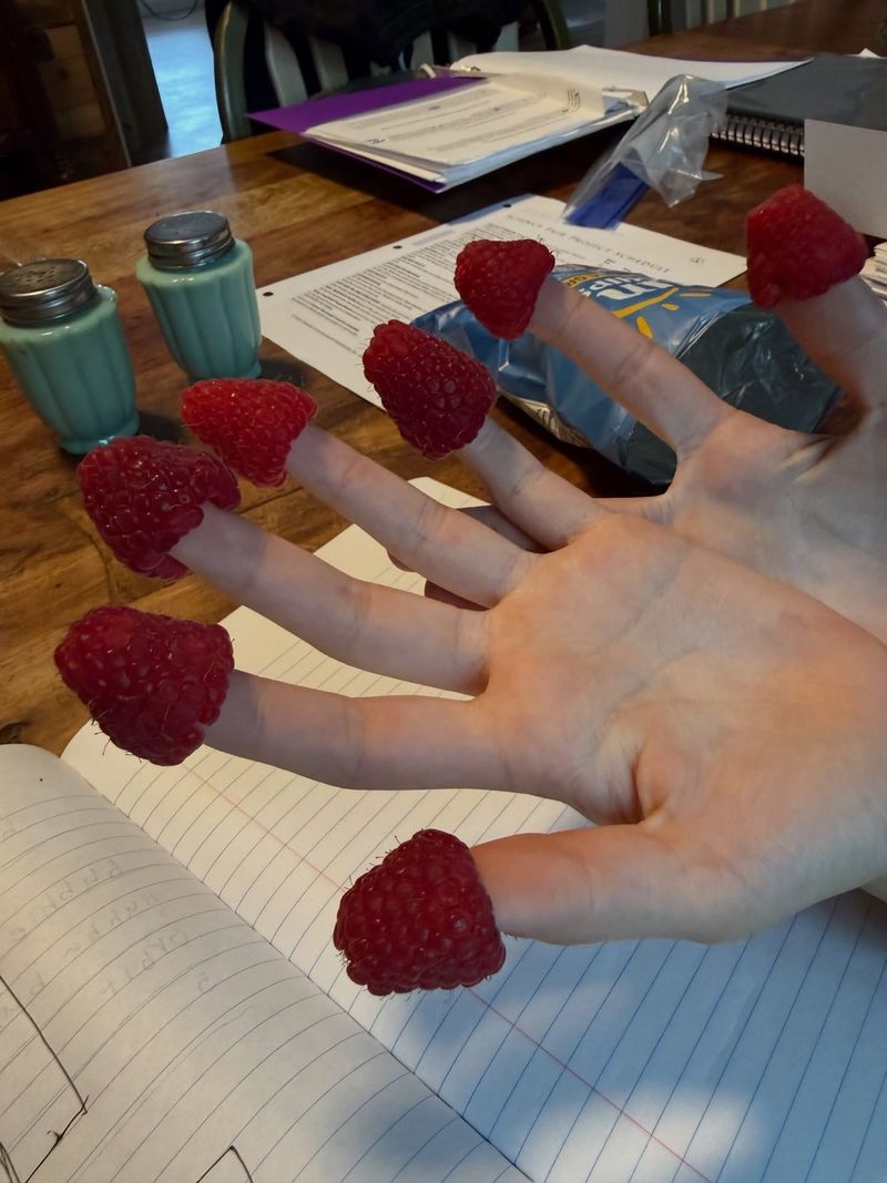 Raspberries on Your Fingertips