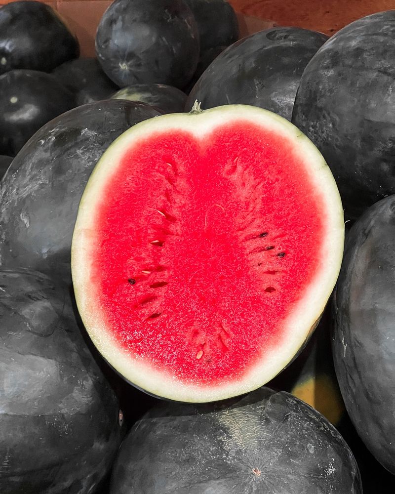 Densuke Watermelon