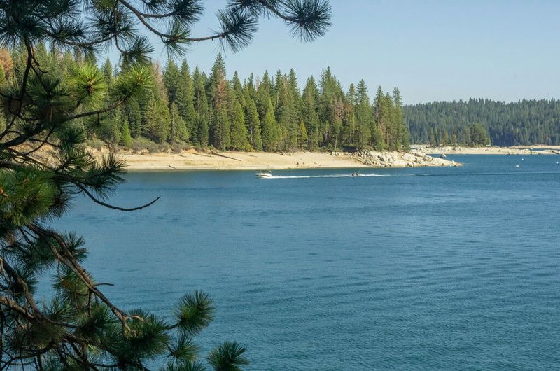 Shaver Lake: Pine Scent and a Classic Summer Outing