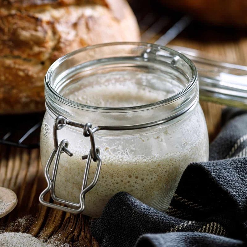 Keeping a Sourdough Starter