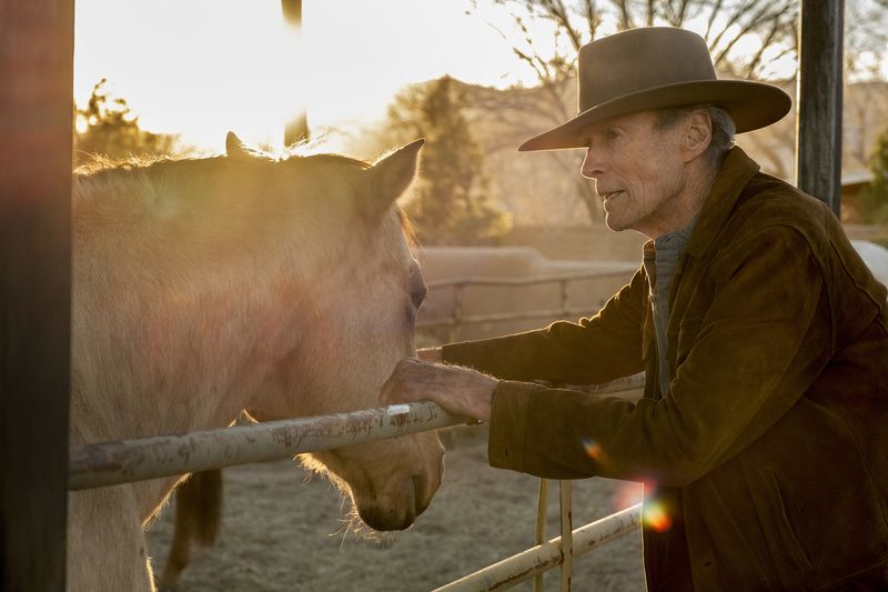 Cry Macho (2021): An Aging Cowboy Slows Down