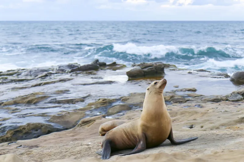 San Diego: Easygoing Days by the Water