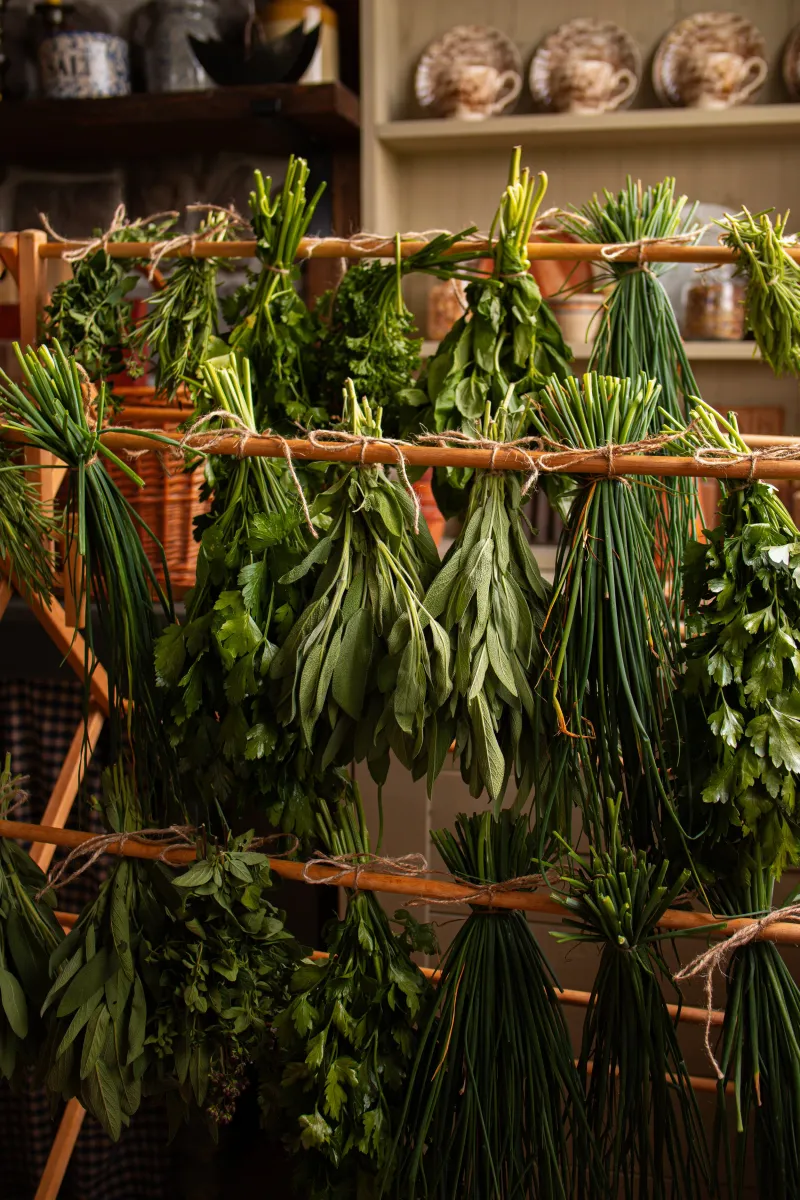 Drying Herbs and Fruit