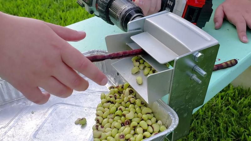 Shelling Peas and Beans