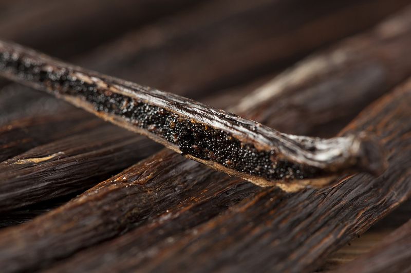 Vanilla Beans from Madagascar