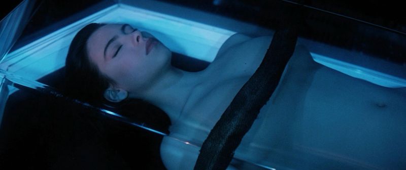 The Space Vampire, a Strange New Threat