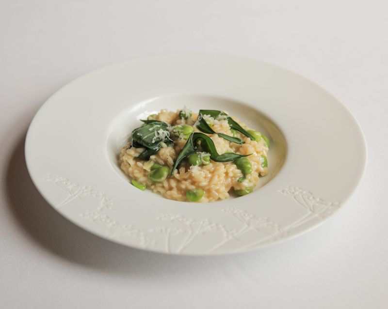 Recreate the Dish