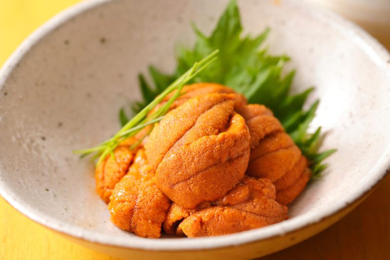 Swiftlet-Free Sea Urchin Uni