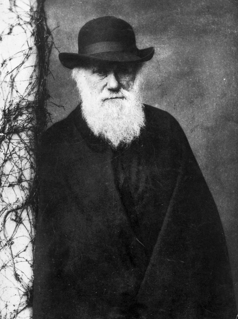 Charles Darwin: Explaining How Life Changes