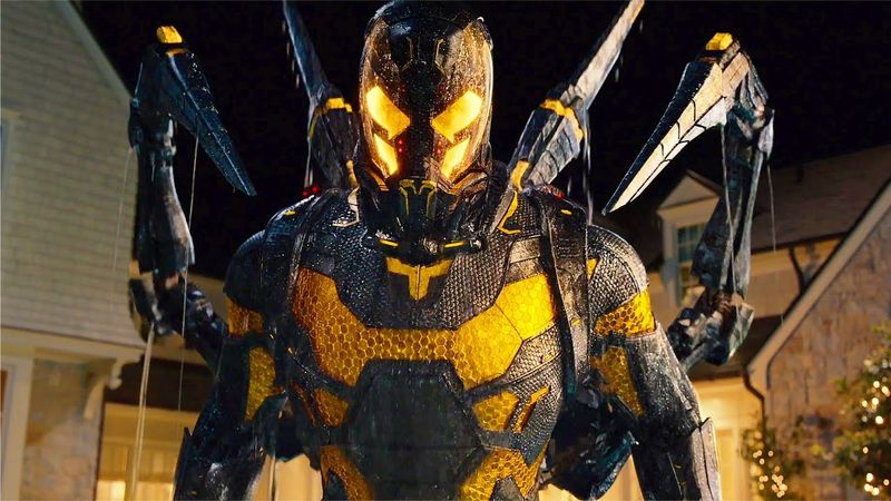Yellowjacket Left a Tiny Way Inside