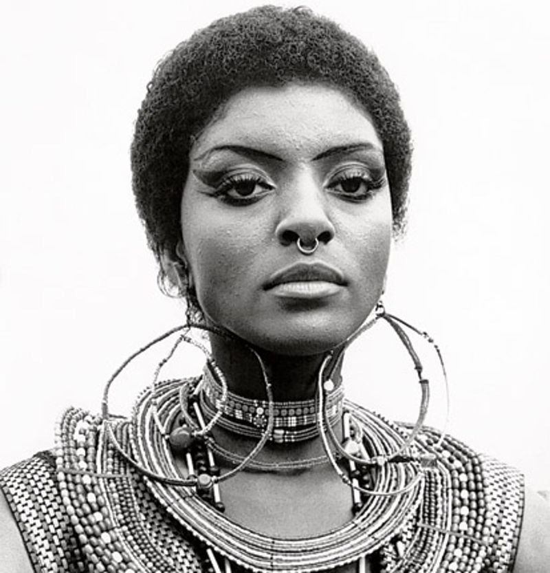 Vonetta McGee: Range Beyond a Genre