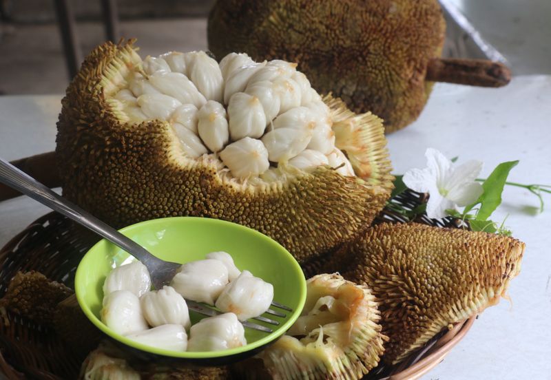 Marang, Durian's Gentler Cousin