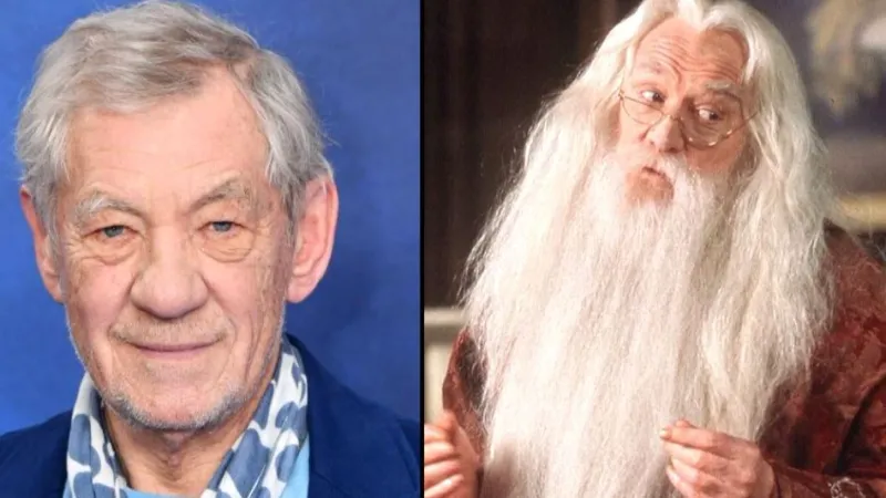 Ian McKellen: One Great Wizard Was Enough