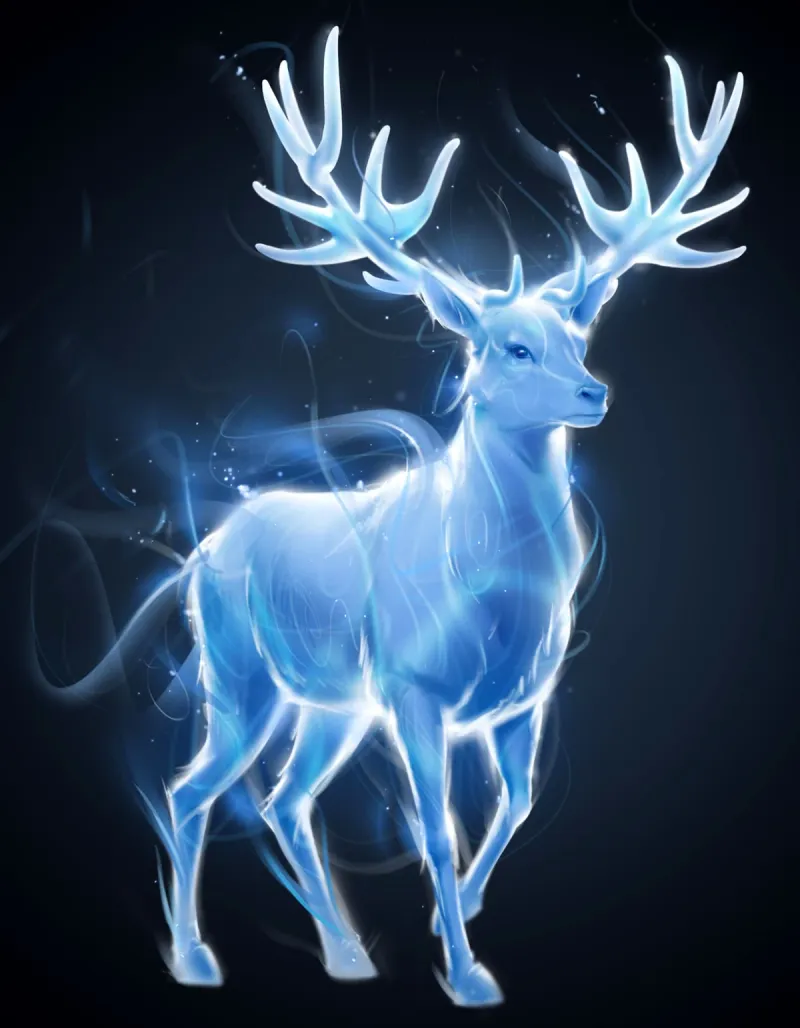 Expecto Patronum: Hope With a Protective Shape