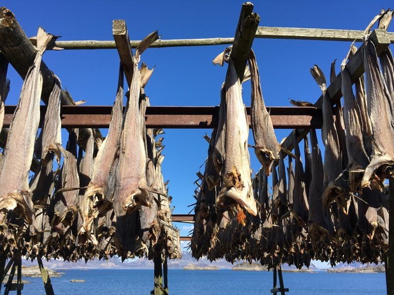 Salted Fish That Fed Explorers