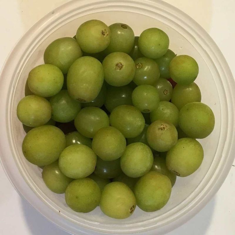 Grapes on the Go