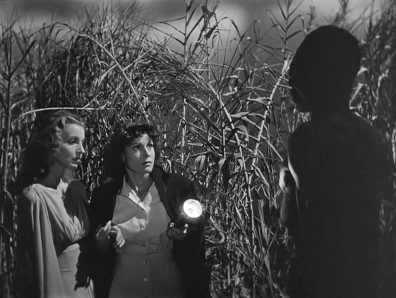 I Walked with a Zombie (1943): Dread in the Cane Fields