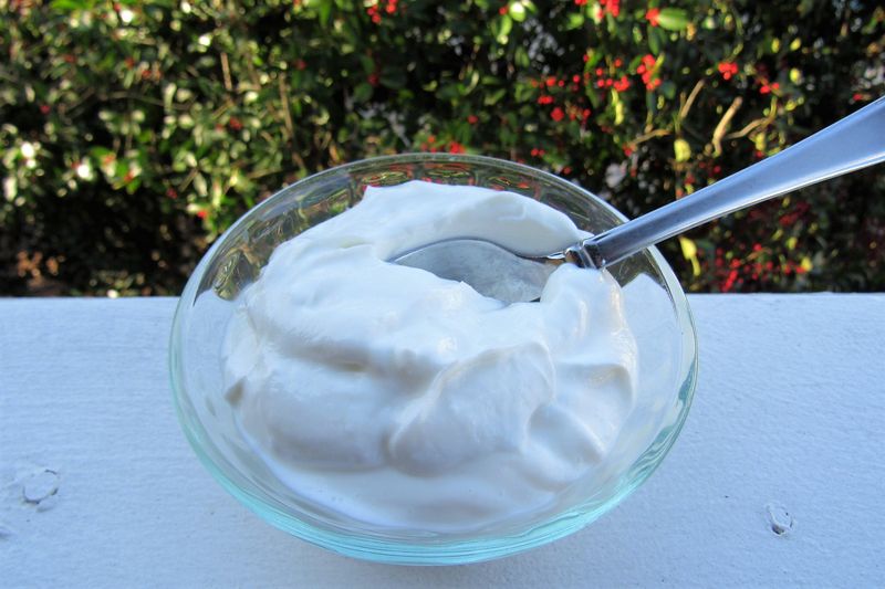 Choosing Flavored Yogurt Cups