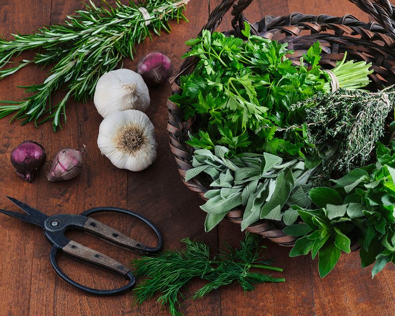 Fresh Herbs