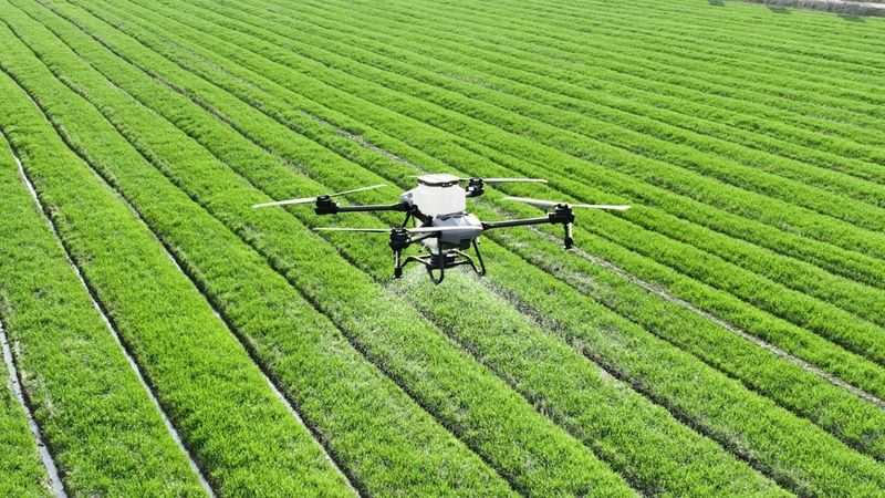 Drones Watching Over Crops